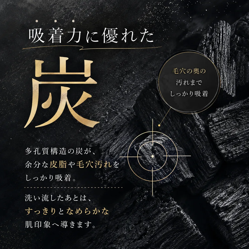多孔質構造の炭が余分な皮脂や毛穴の汚れを吸着するイメージ